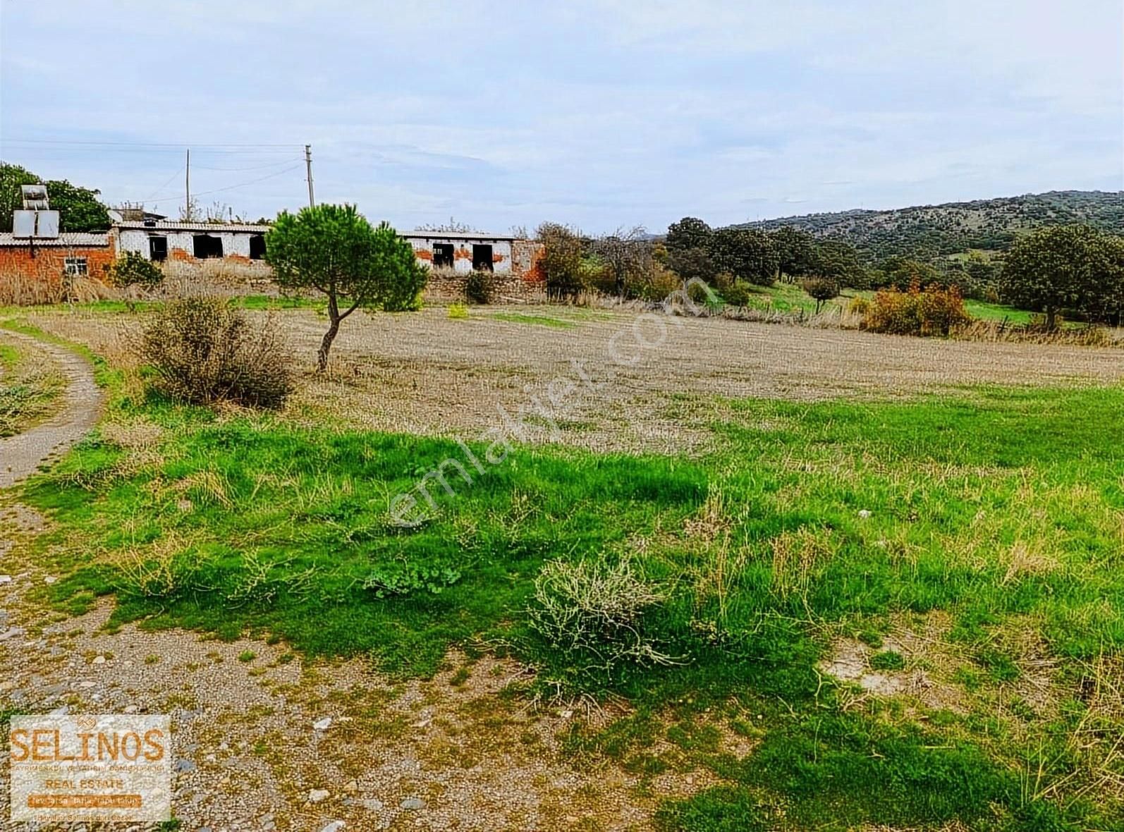 Dereköy'de Satılık Tavuk Çiftliği 8680 M2 - Görsel 12