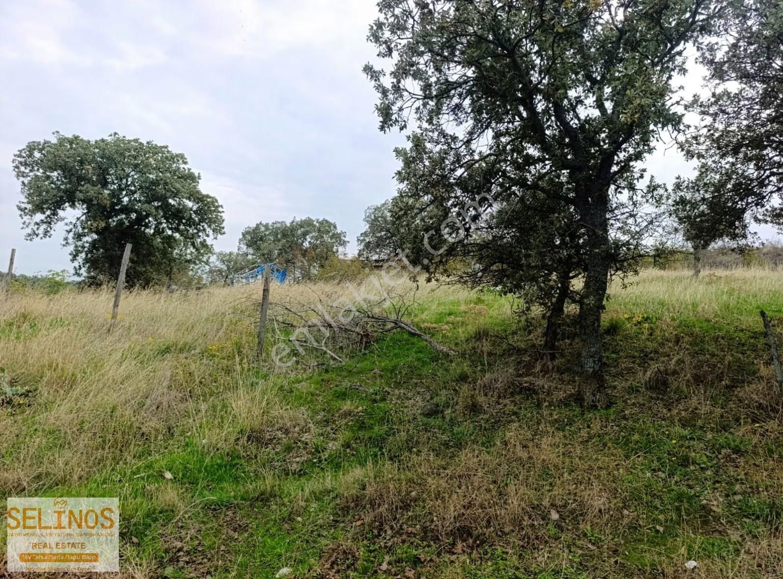 Dereköy'de Satılık Tavuk Çiftliği 8680 M2 - Görsel 11