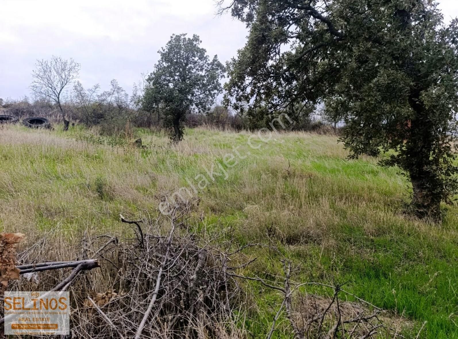 Dereköy'de Satılık Tavuk Çiftliği 8680 M2 - Görsel 4