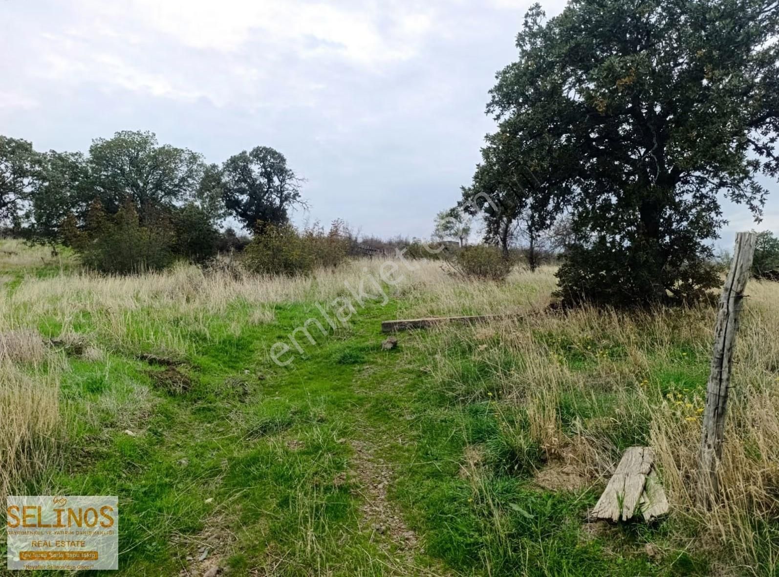 Dereköy'de Satılık Tavuk Çiftliği 8680 M2 - Görsel 8