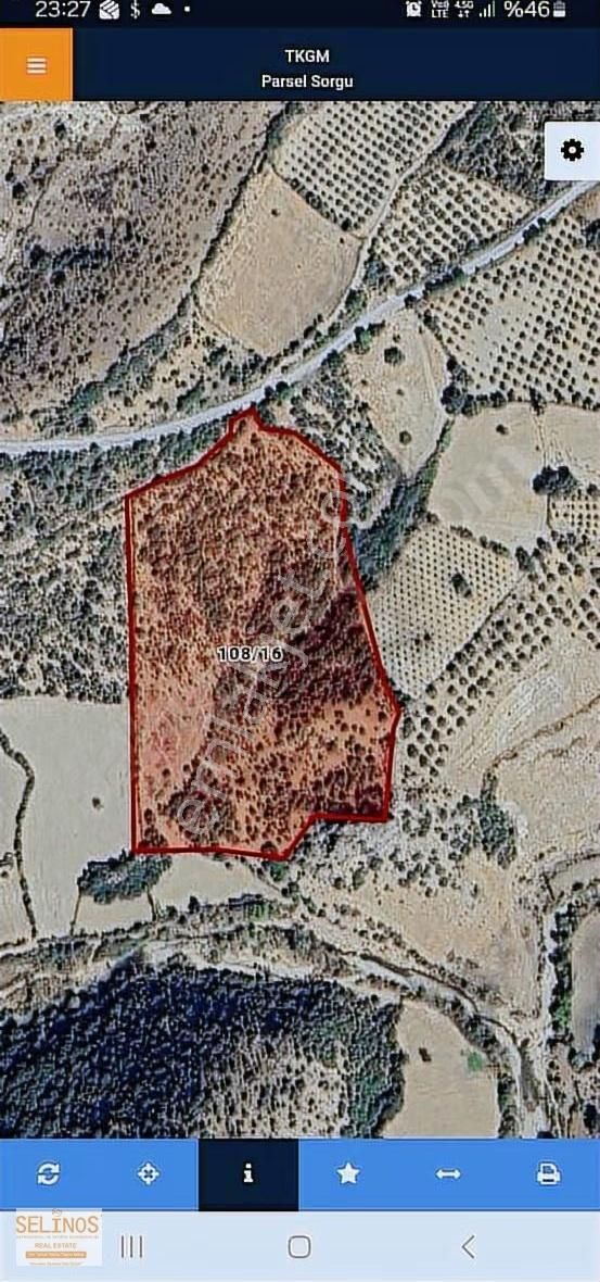 Asfalt Yola Cepheli 37.207 M2 Tarla