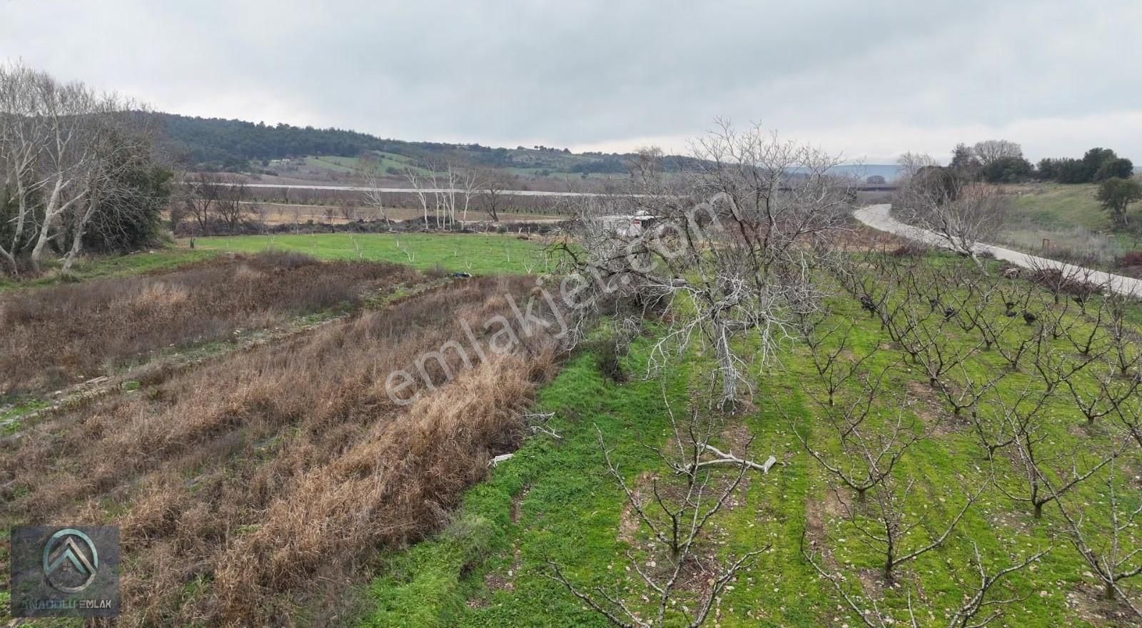 Çanakkale Merkez Aşağıokçular Satılık Tarla - Görsel 6