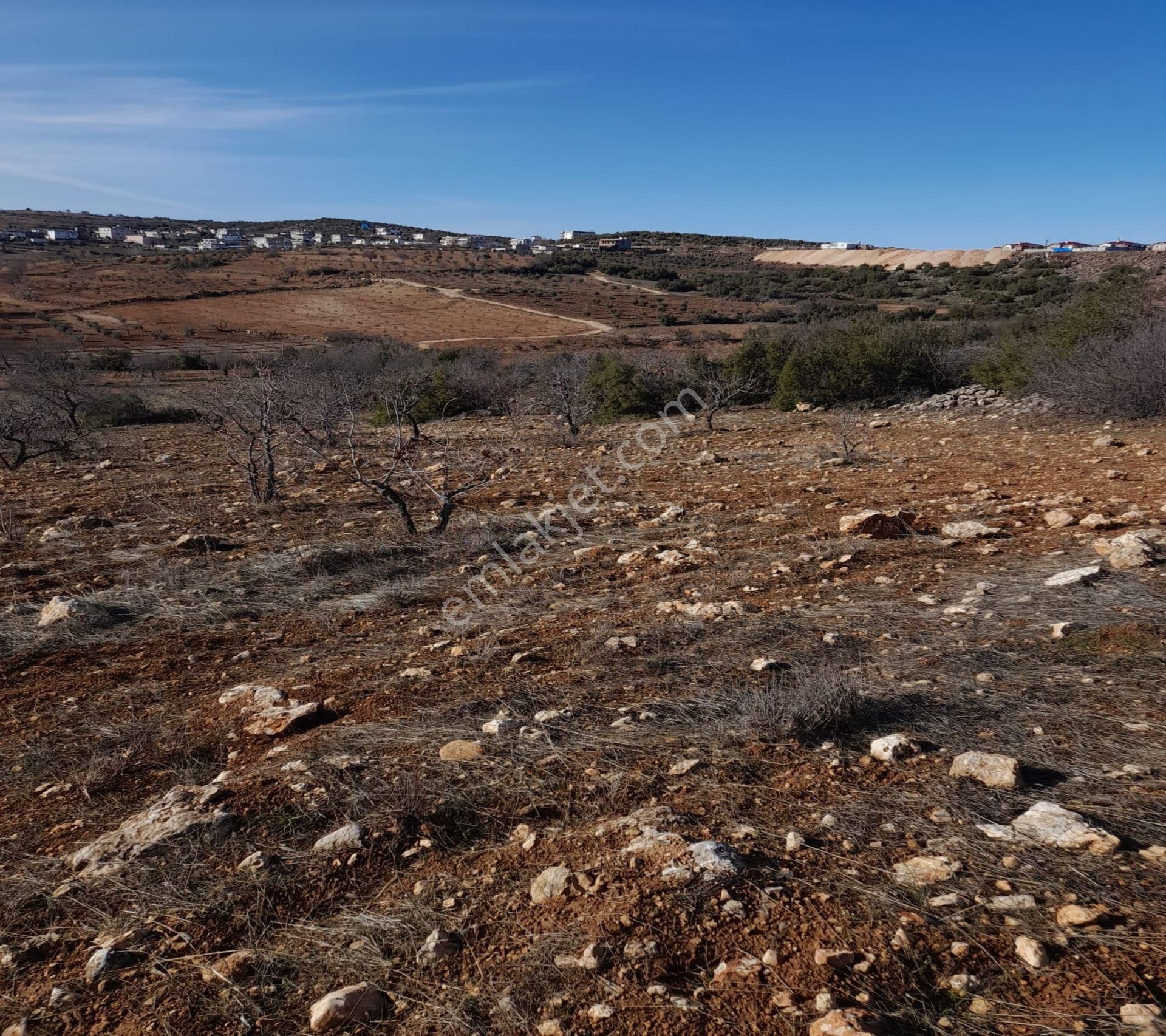 Kirlialıcı Da 7100 M2 Tek Tapu Fıstıklık