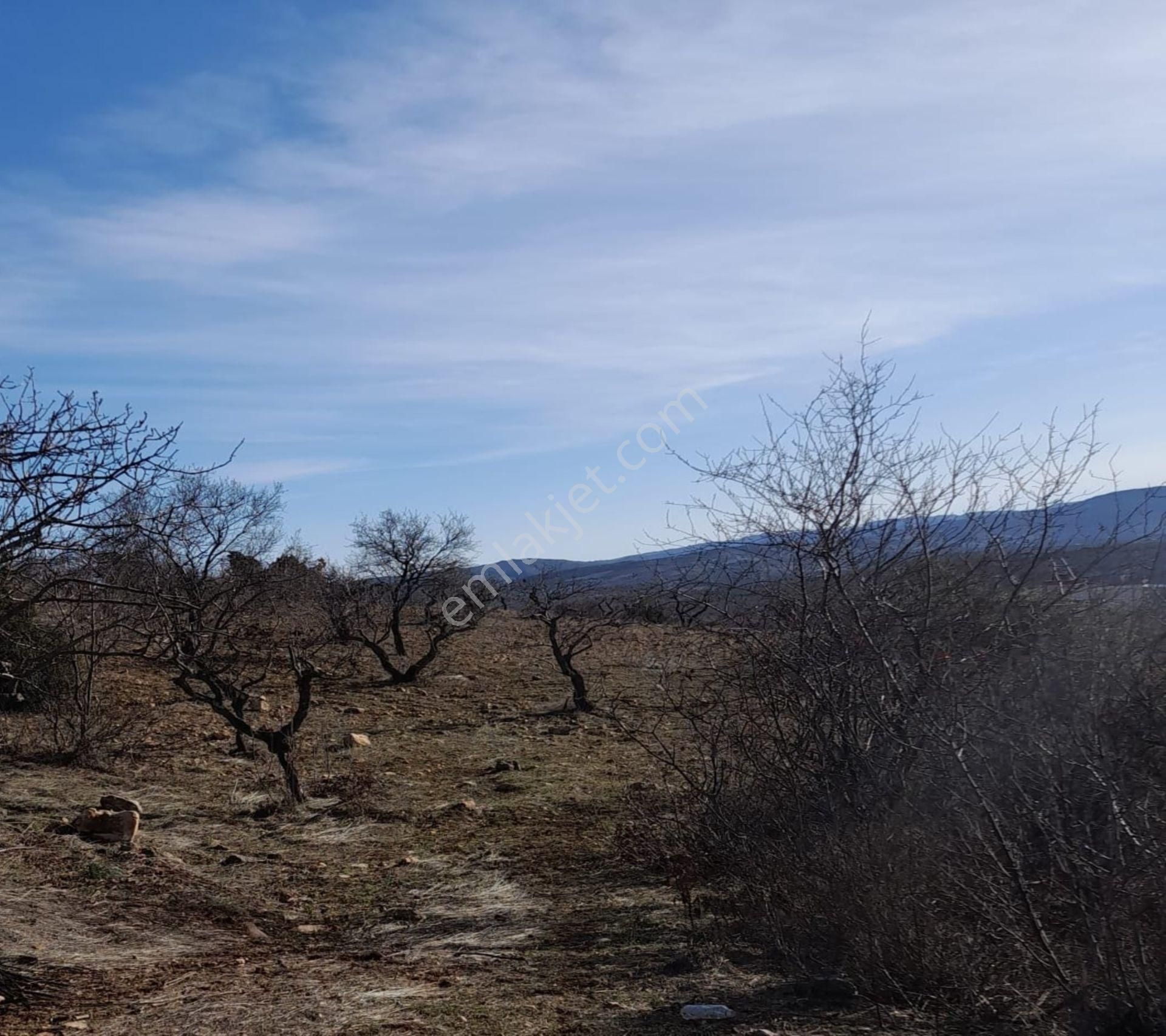 Kirlialıcı Da 7100 M2 Tek Tapu Fıstıklık - Görsel 5