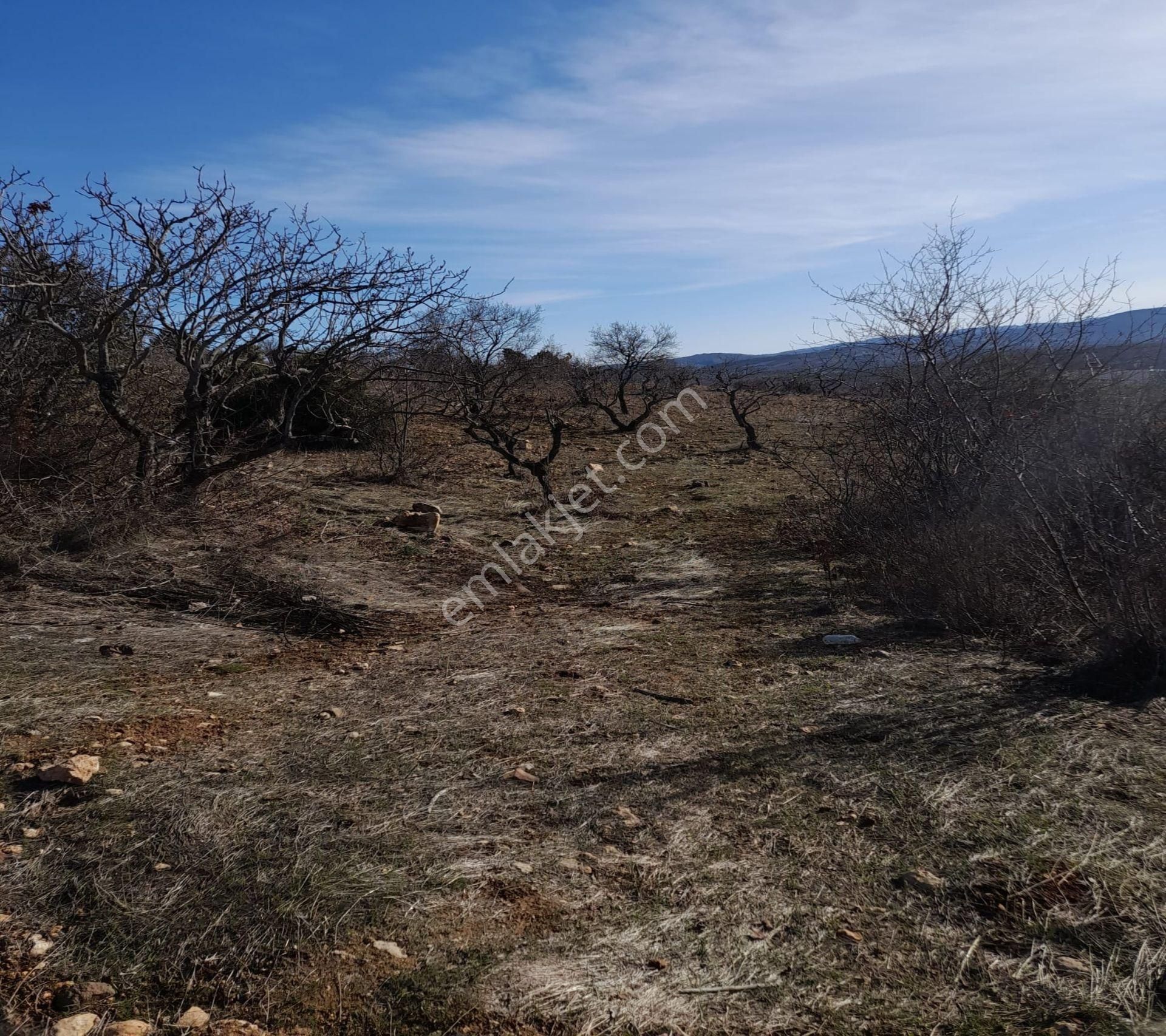 Kirlialıcı Da 7100 M2 Tek Tapu Fıstıklık - Görsel 4