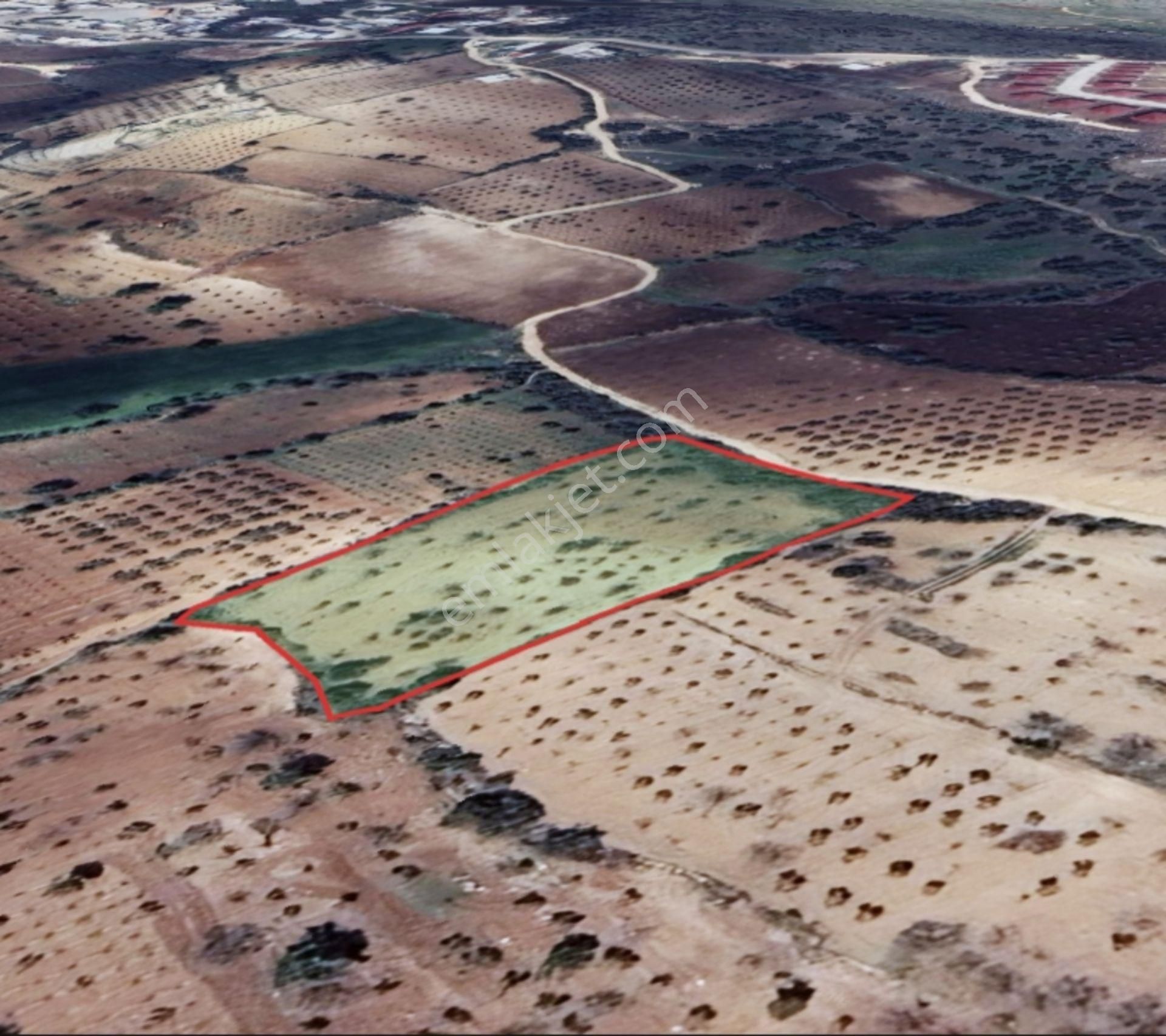 Kirlialıcı Da 7100 M2 Tek Tapu Fıstıklık - Görsel 11