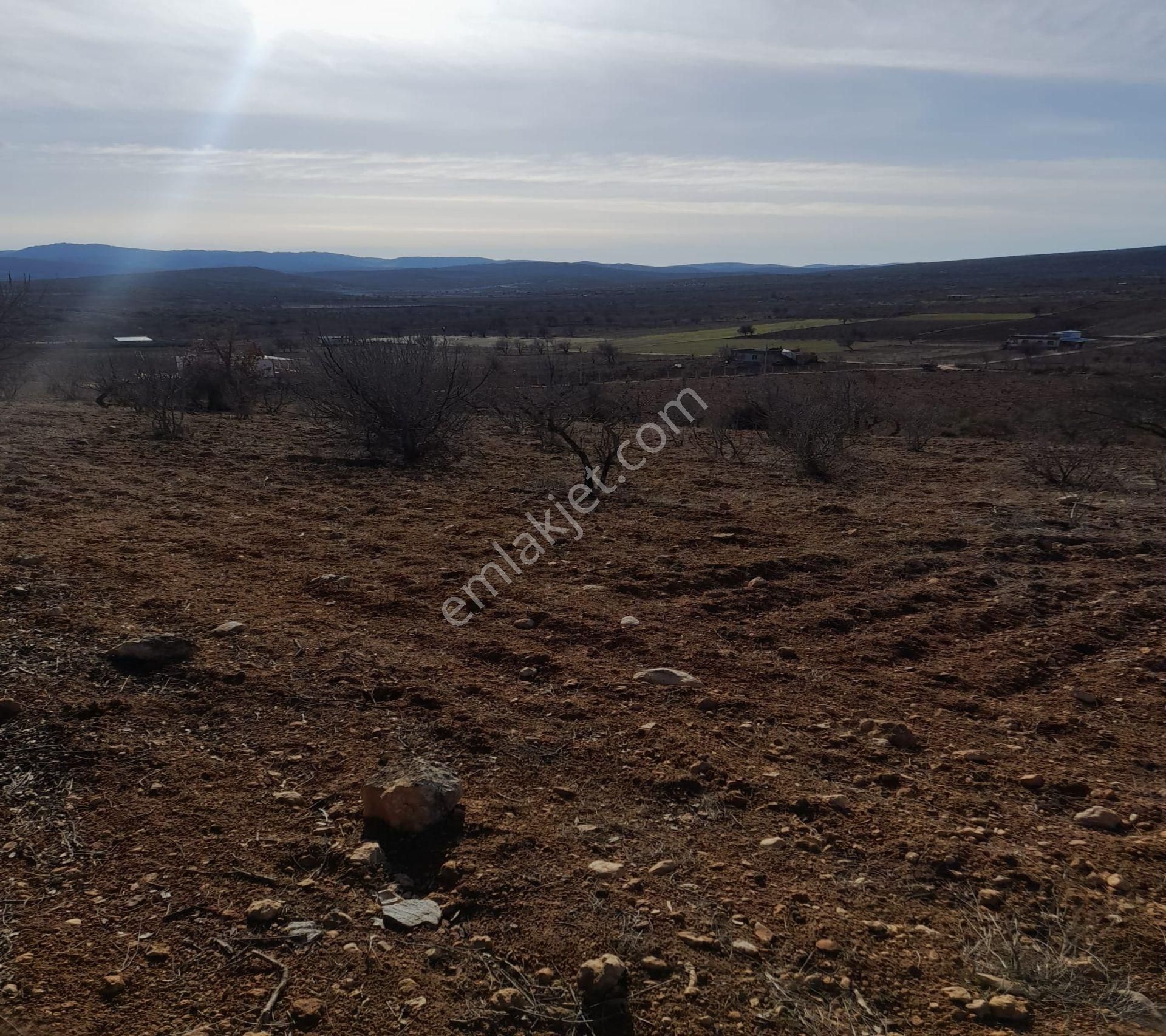 Kirlialıcı Da 7100 M2 Tek Tapu Fıstıklık - Görsel 8