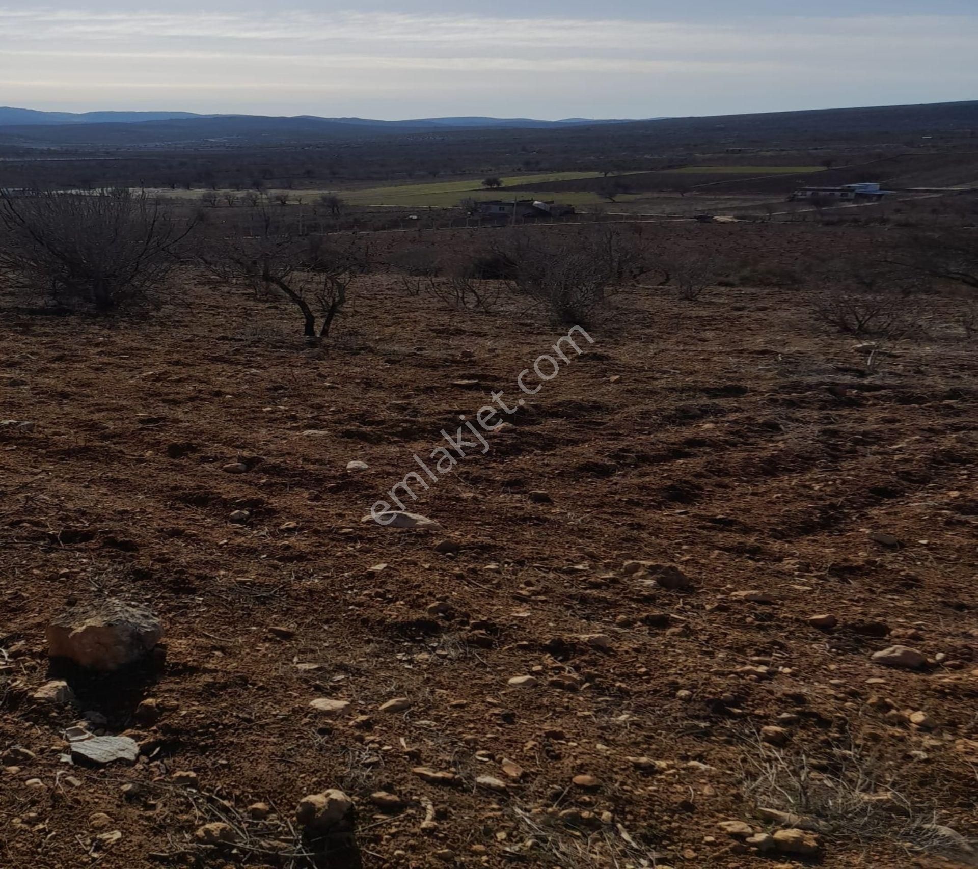 Kirlialıcı Da 7100 M2 Tek Tapu Fıstıklık - Görsel 2