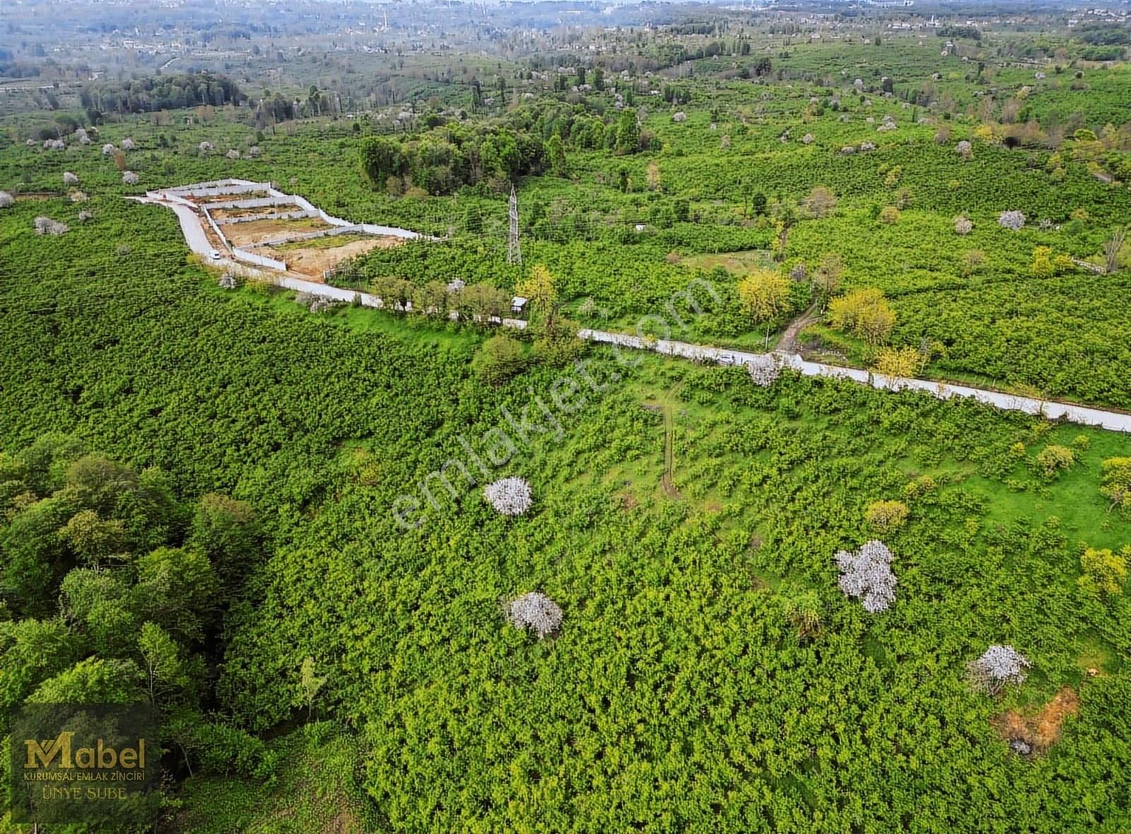 Mabel'den Şhir Merkzine Çok Yakın Deniz Manzaralı Yola Sıfr Arsa