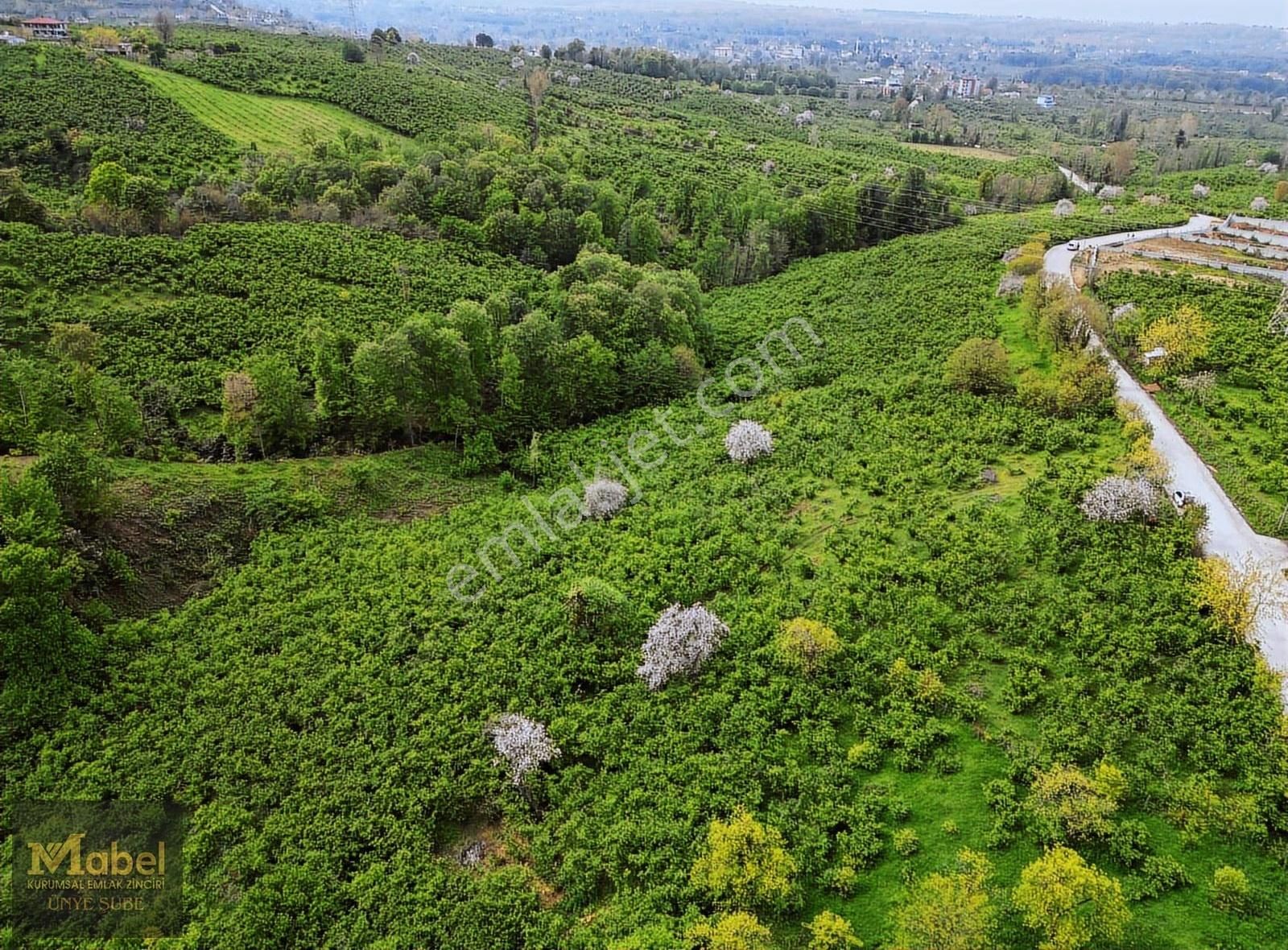 Mabel'den Şhir Merkzine Çok Yakın Deniz Manzaralı Yola Sıfr Arsa - Görsel 3