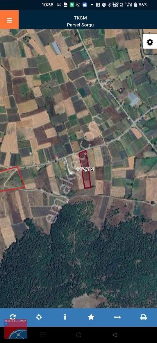 Sakarya / Pamukova / Hüseyinli Çilek Tarlası - Görsel 7