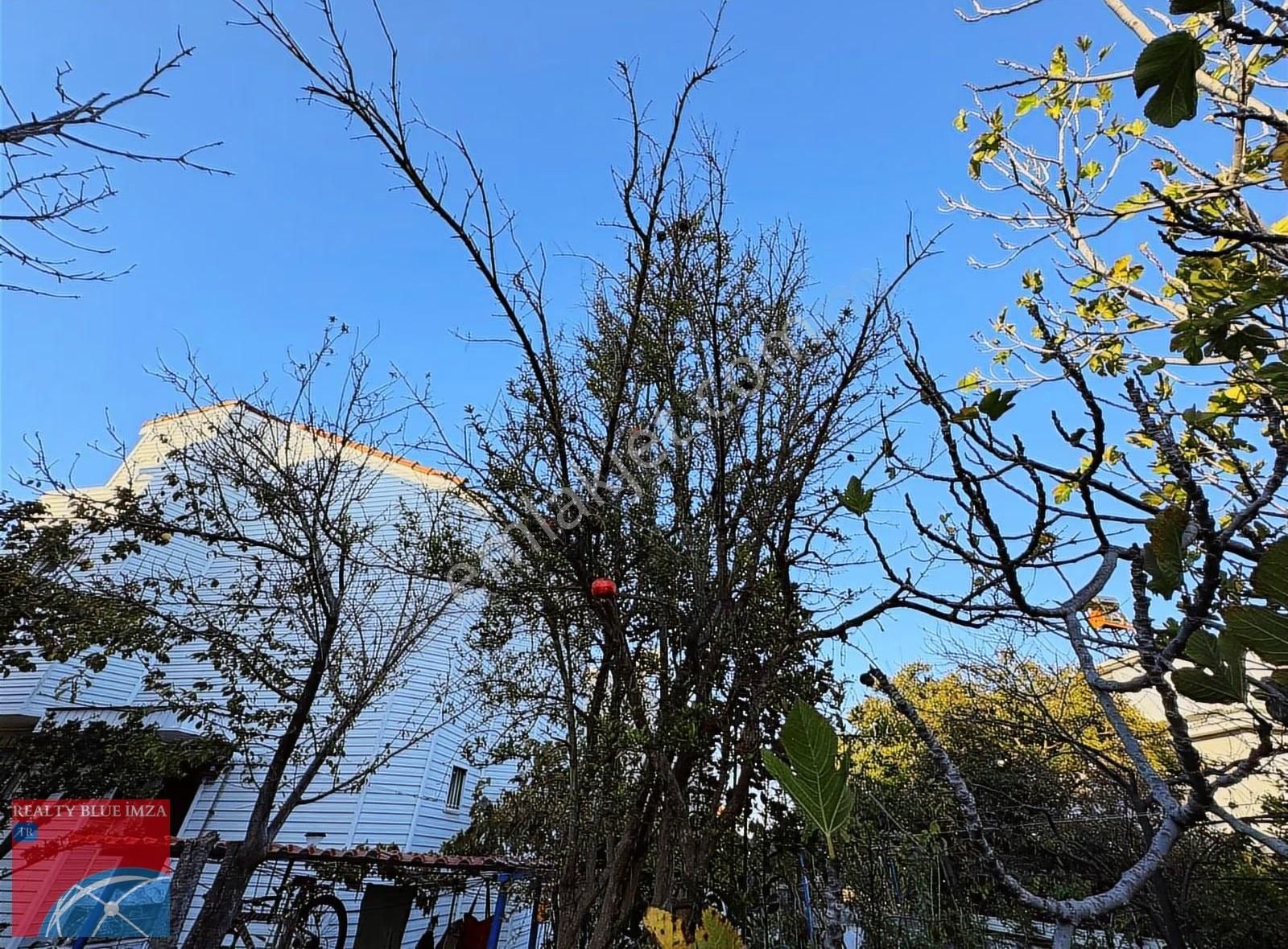 Şile Doğancılı Da Müstakil 6+1 Bahçeli/verandalı/otoparklı Villa - Görsel 6