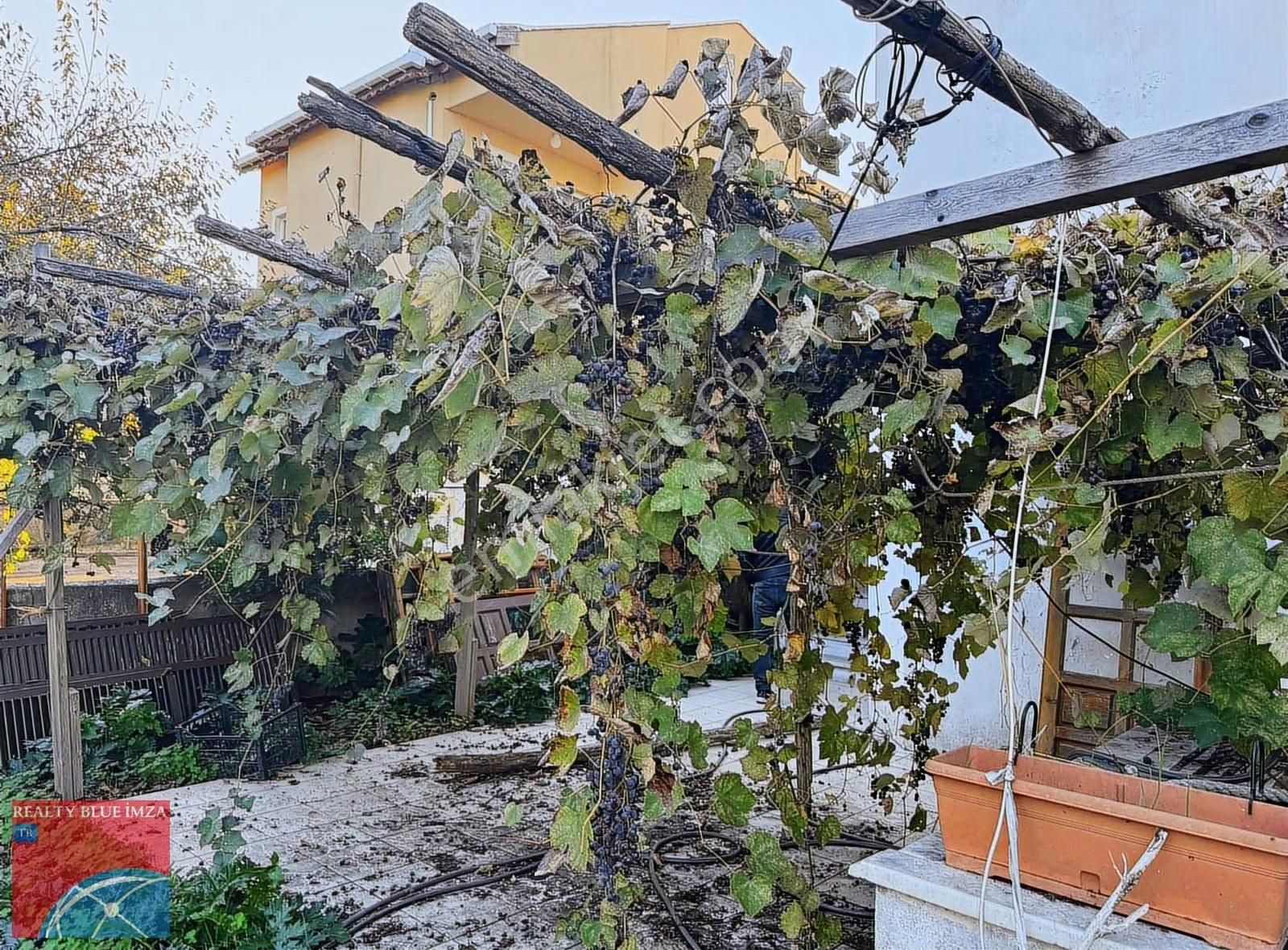 Şile Doğancılı Da Müstakil 6+1 Bahçeli/verandalı/otoparklı Villa - Görsel 21