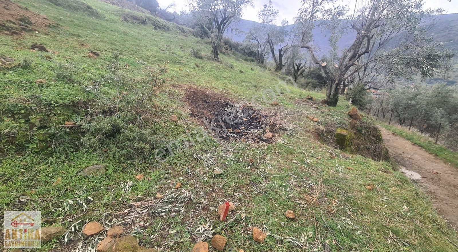 Antika Gayrimenkul'den Bademli De Satılık 326 M2 İmarlı Arsa - Görsel 23