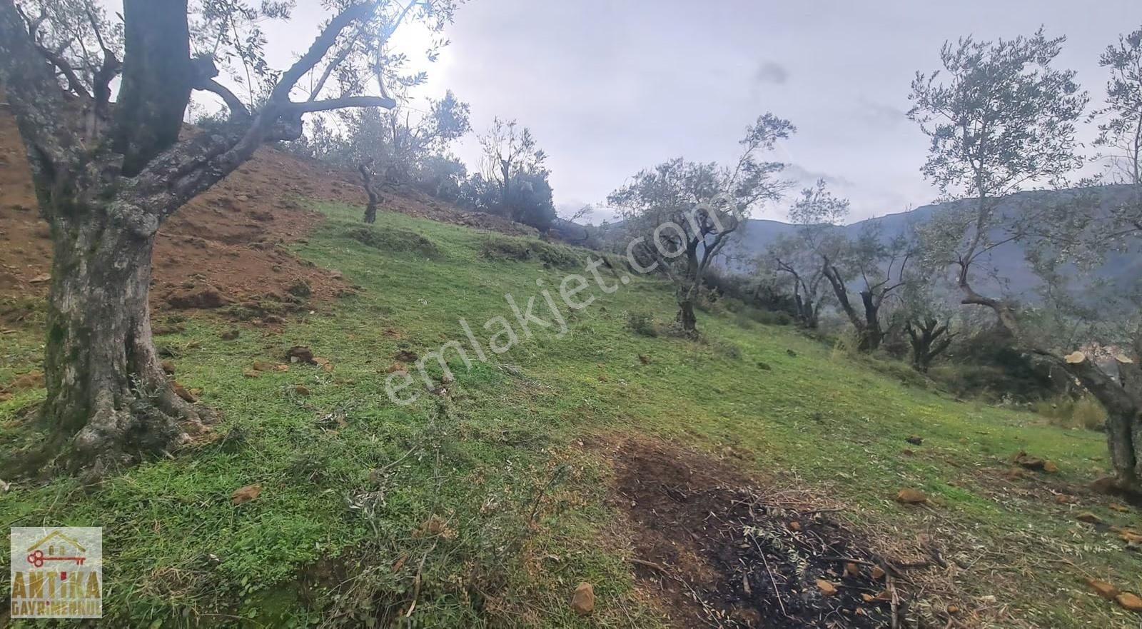 Antika Gayrimenkul'den Bademli De Satılık 326 M2 İmarlı Arsa - Görsel 17