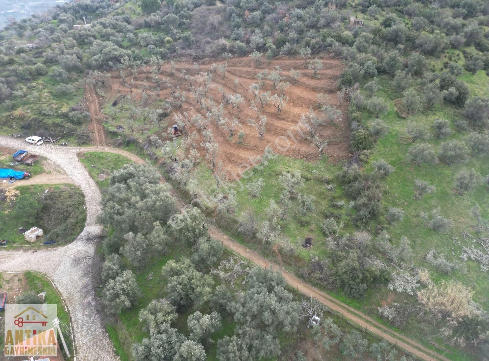 Antika Gayrimenkul'den Bademli De Satılık 326 M2 İmarlı Arsa - Görsel 10