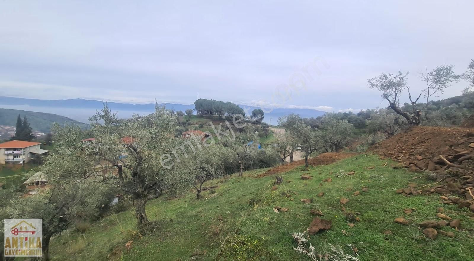 Antika Gayrimenkul'den Bademli De Satılık 326 M2 İmarlı Arsa - Görsel 22