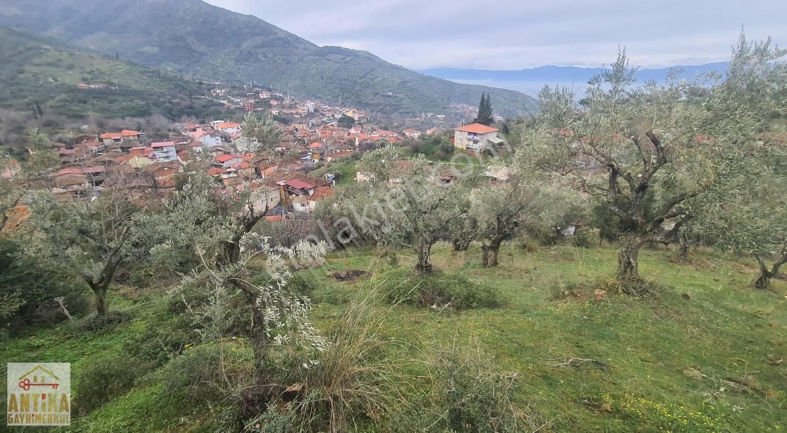 Antika Gayrimenkul'den Bademli De Satılık 326 M2 İmarlı Arsa - Görsel 16