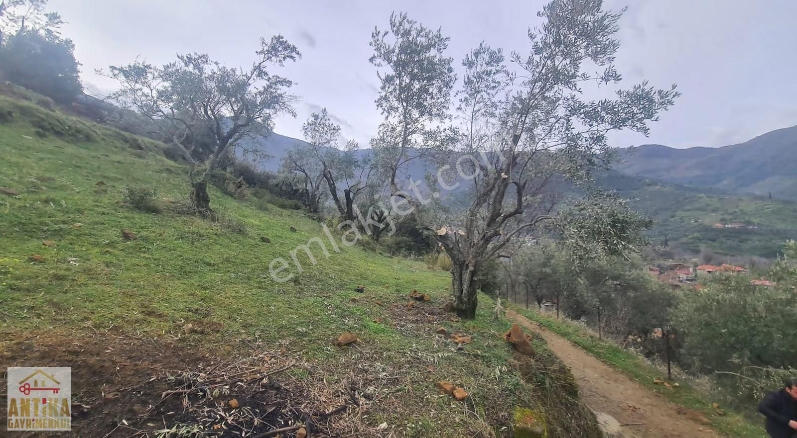 Antika Gayrimenkul'den Bademli De Satılık 326 M2 İmarlı Arsa - Görsel 2