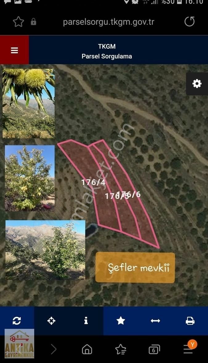 Antika Gayrimenkul Yılanlıda Satılık 3 Tapu Tek Fiyat Kestanelik - Görsel 11