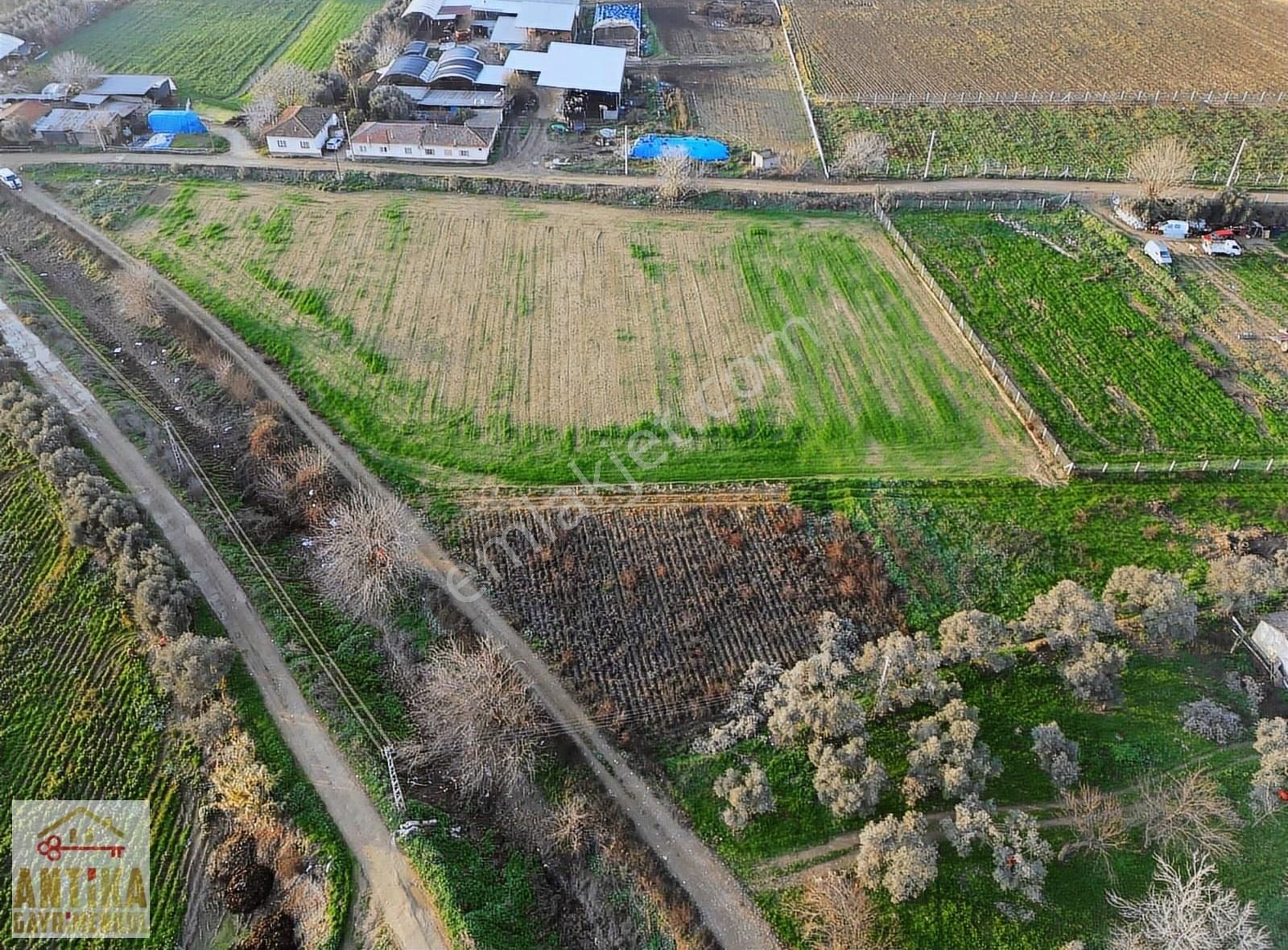 Antika Gayrimenkulden Yolüstü Mahallesinde Satılık 7000 M² Tarla - Görsel 22