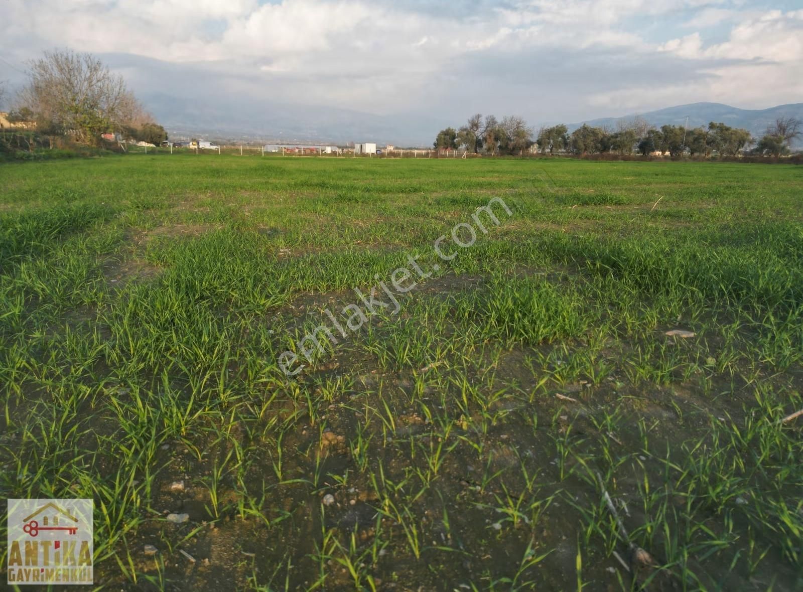 Antika Gayrimenkulden Yolüstü Mahallesinde Satılık 7000 M² Tarla - Görsel 18