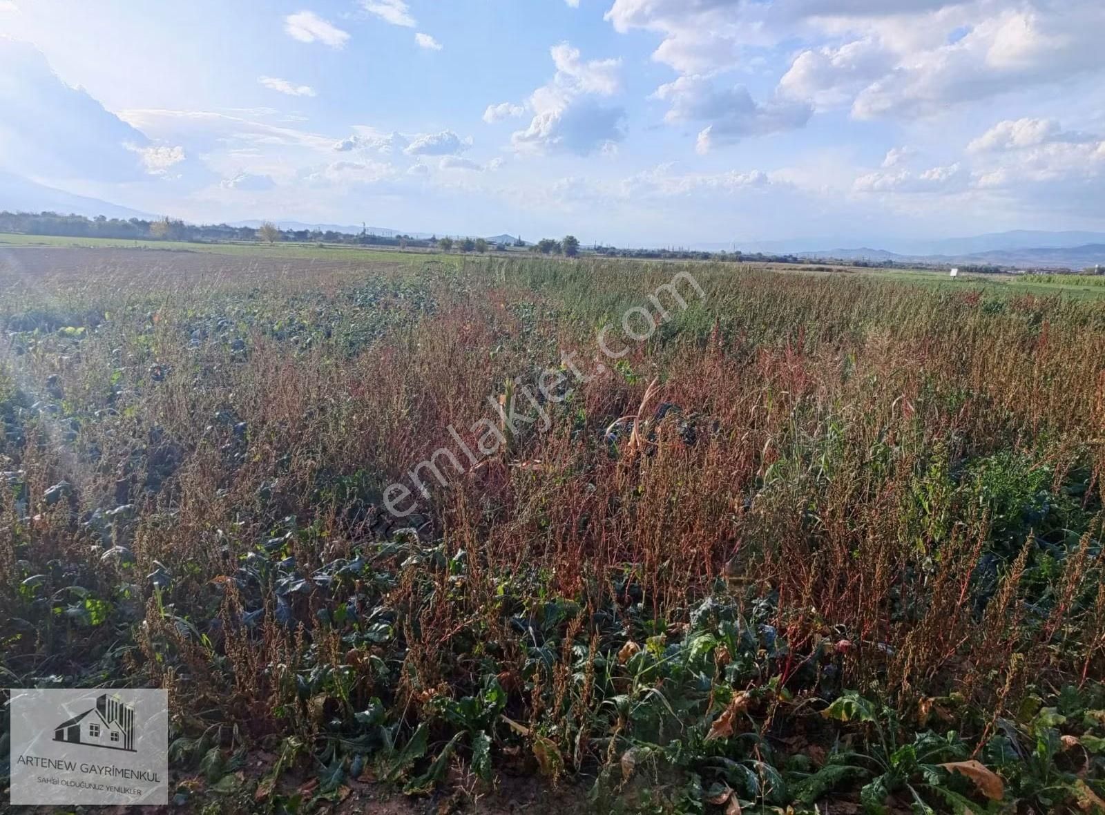 Artenew Emlak'tan İzmìr Tírede Satılık Arsa Bahçe - Görsel 10