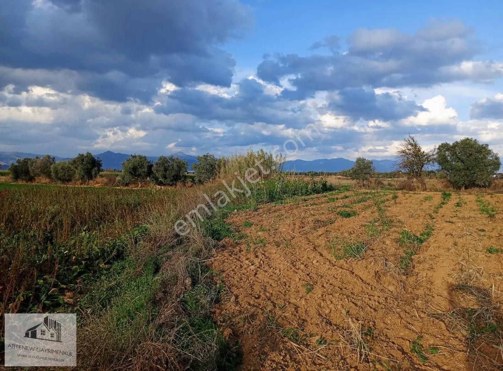 Artenew Emlak'tan İzmìr Tírede Satılık Arsa Bahçe - Görsel 4