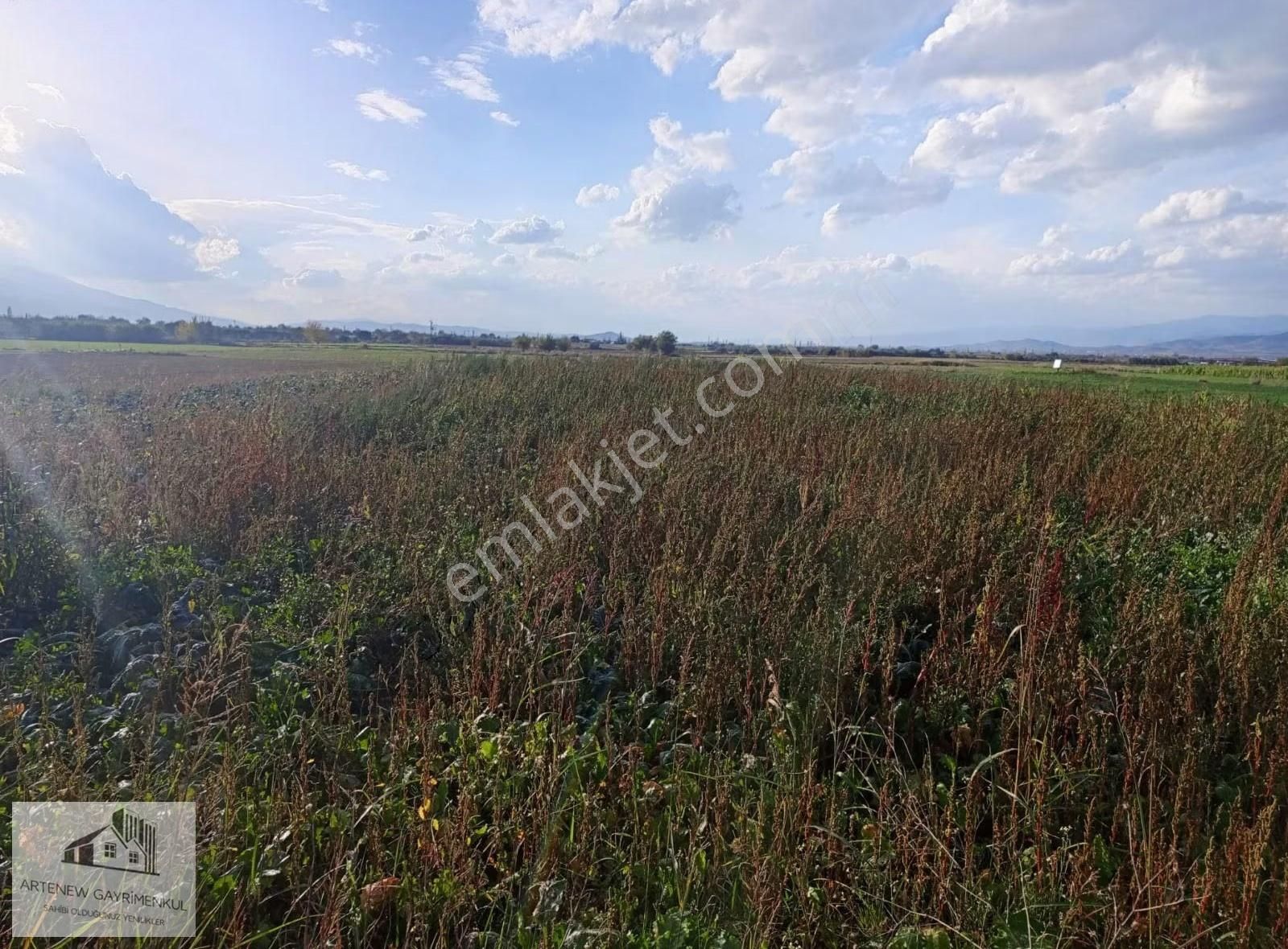 Artenew Emlak'tan İzmìr Tírede Satılık Arsa Bahçe - Görsel 2