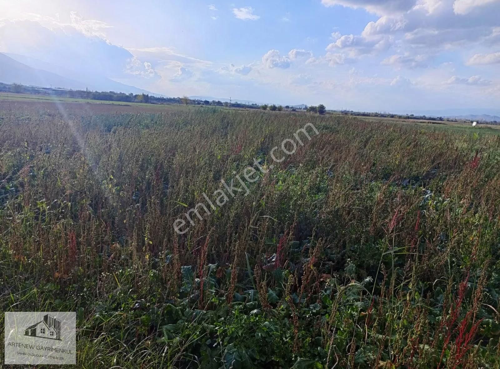 Artenew Emlak'tan İzmìr Tírede Satılık Arsa Bahçe - Görsel 7
