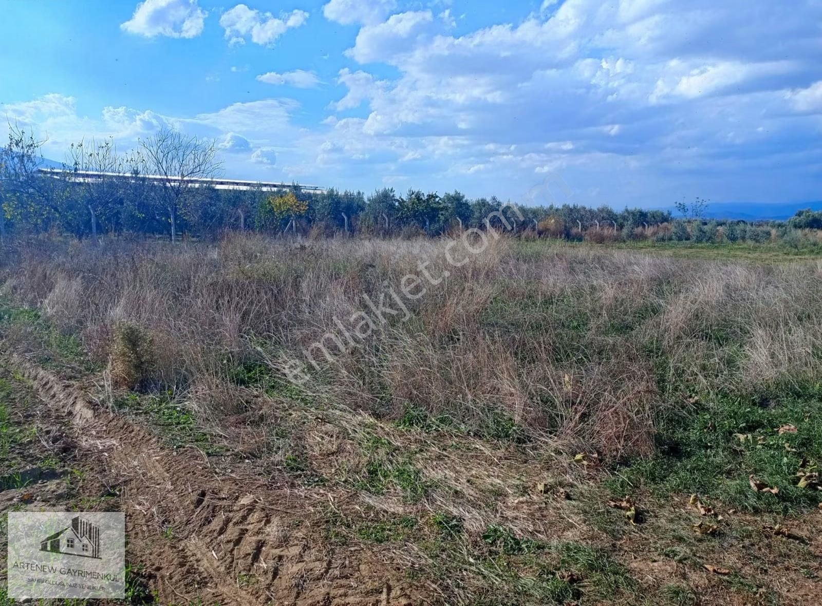 Artenew Emlak'tan İzmìr Tíre Gökçen Mahalleside Satılık Bahçe - Görsel 8