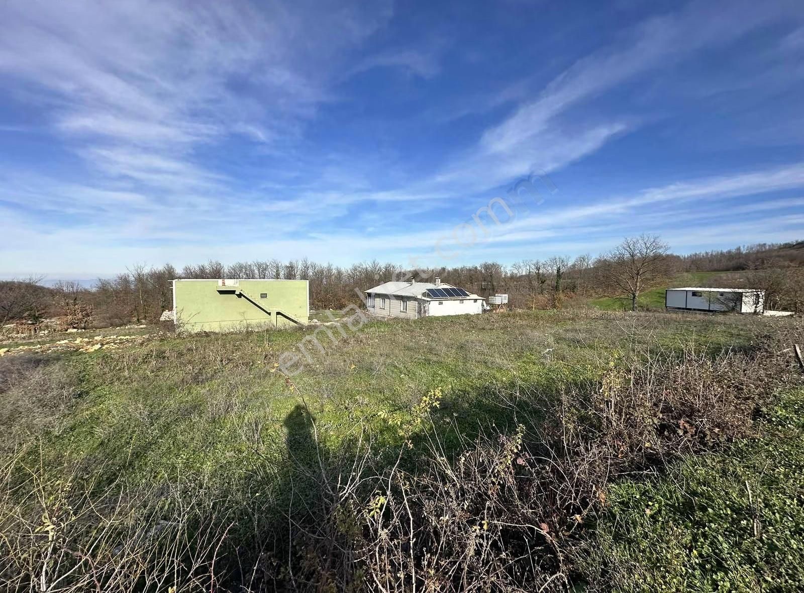 Özdemirden Satılık Tek Tapu Tarla - Görsel 5