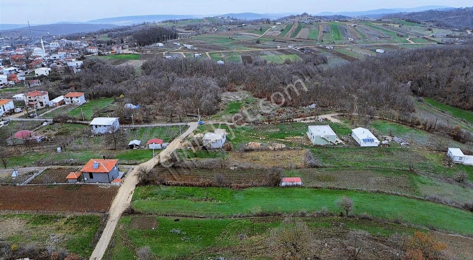 Özdemirden Satılık Tek Tapu Tarla - Görsel 2