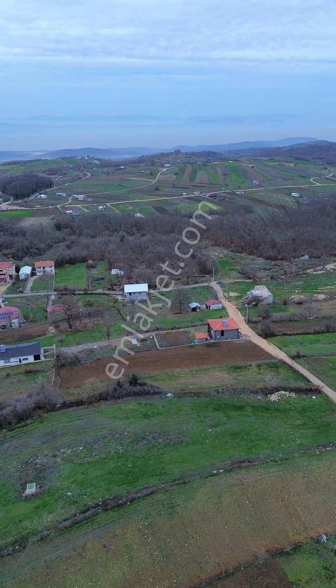 Özdemirden Satılık Tek Tapu Tarla - Görsel 3