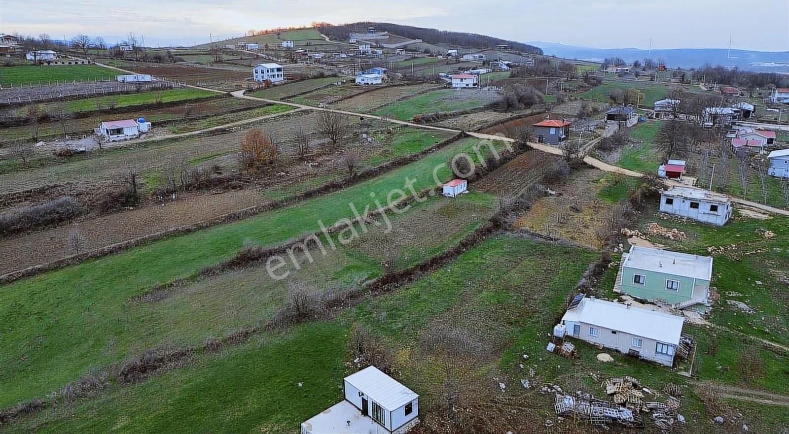 Özdemirden Satılık Tek Tapu Tarla - Görsel 4