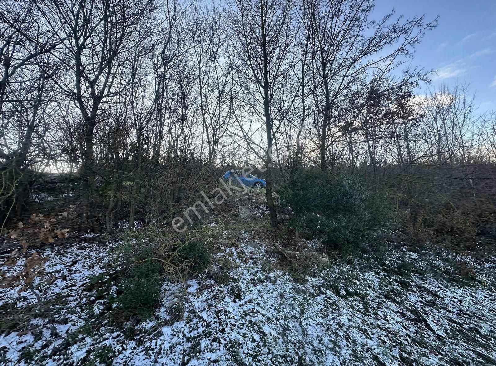 Özdemır'den Satılık Tarla - Görsel 11