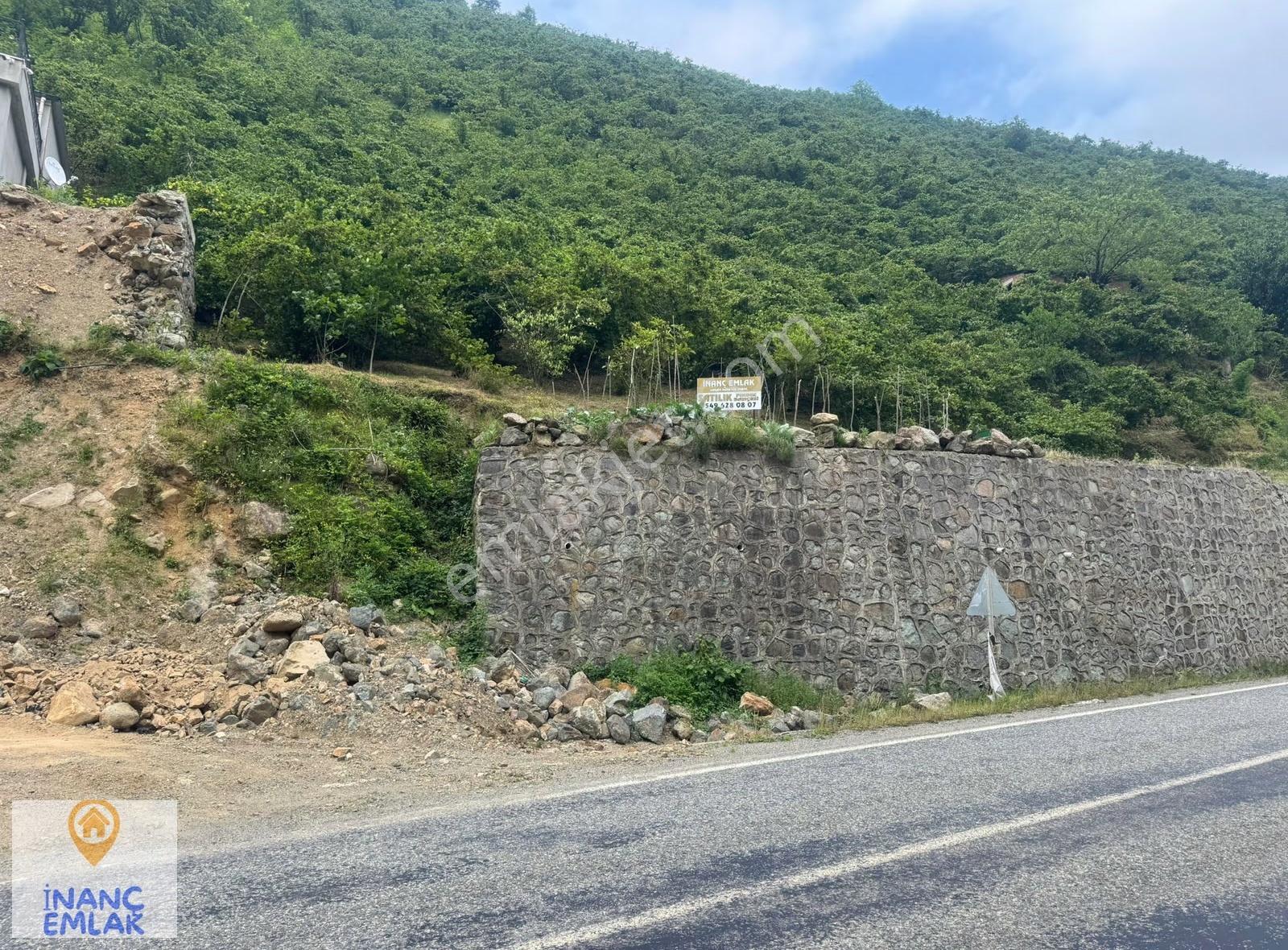 İnanç Emlaktan Uzkara Köyünde Satılık 4656 M2 Fındık Bahçesi - Görsel 5