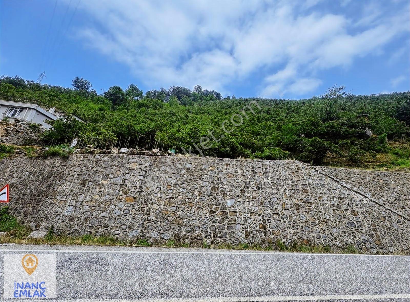 İnanç Emlaktan Uzkara Köyünde Satılık 4656 M2 Fındık Bahçesi