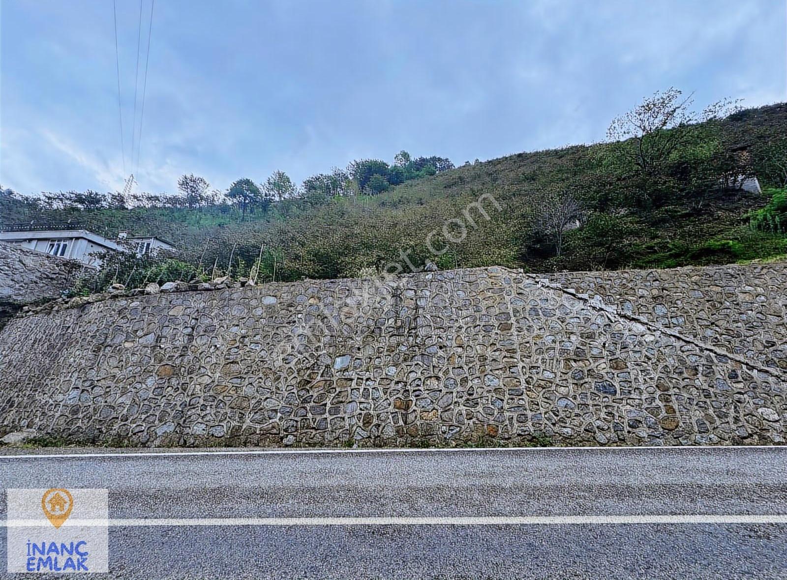 İnanç Emlaktan Uzkara Köyünde Satılık 4656 M2 Fındık Bahçesi - Görsel 4