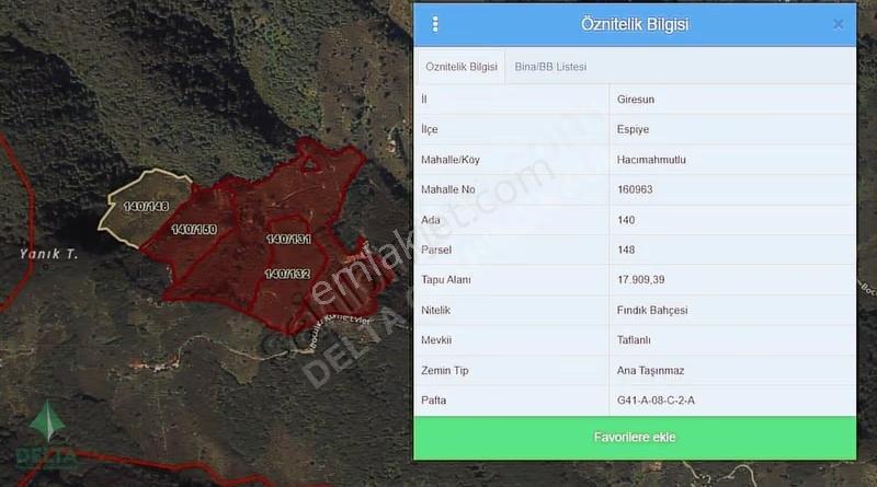 Delta Gayrimenkul'den Espiye De 130 Dönüm Fındıkbahçesi.. - Görsel 34