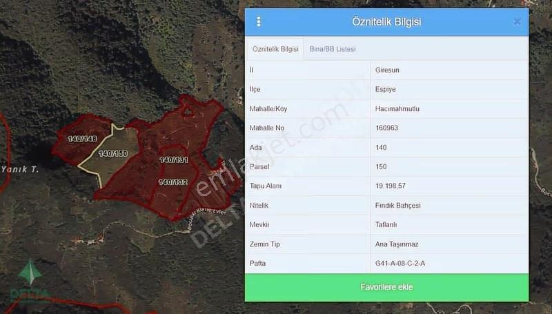 Delta Gayrimenkul'den Espiye De 130 Dönüm Fındıkbahçesi.. - Görsel 2