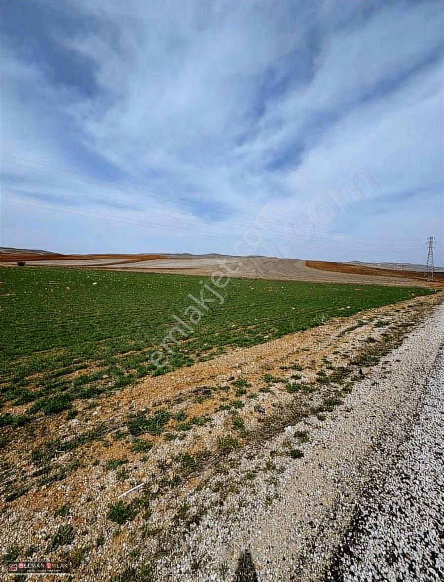 Cazip Fiyata Kısa Süreliğine 4 Kat'a İmarlı Arsa - Görsel 18