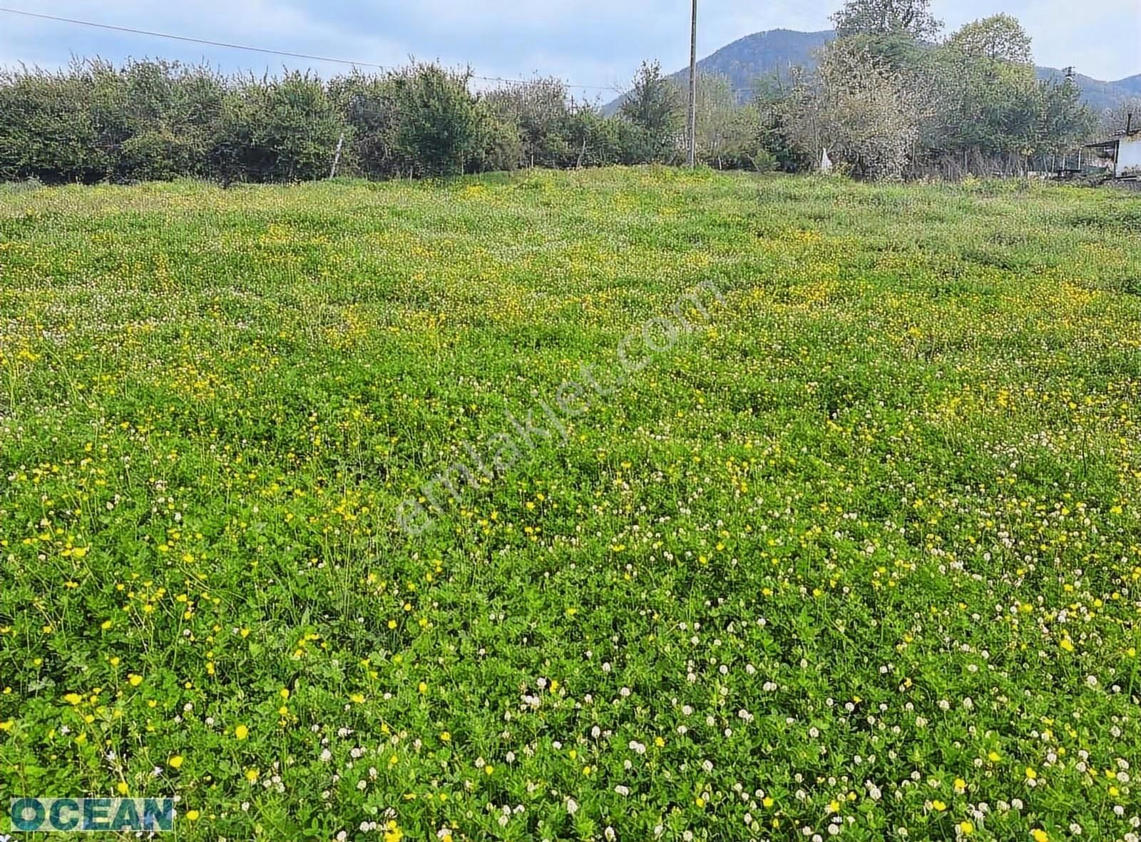 Kocaeli/kartepe Arslanbey Mah. Satılık 553 M2 Yatırımlık Hisse ! - Görsel 9