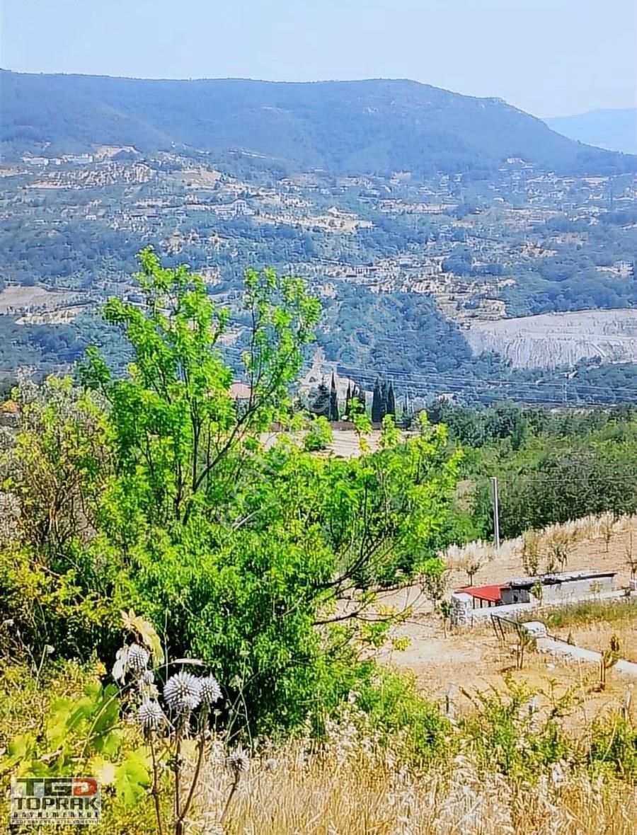 Geyve Bağlarbaşı Satılık Arsa - Görsel 6