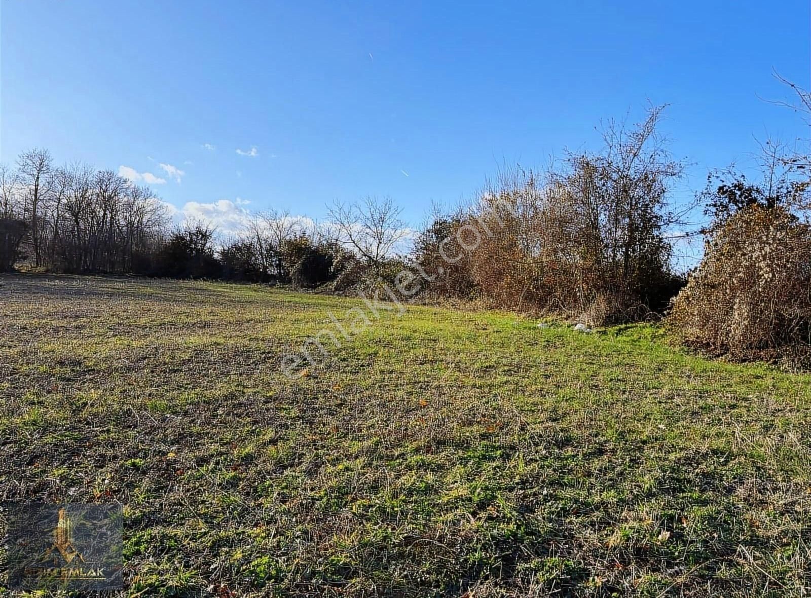 Temel Emlak'tan Evrenuşağında Satılık 23 Dönüm Arazi - Görsel 2