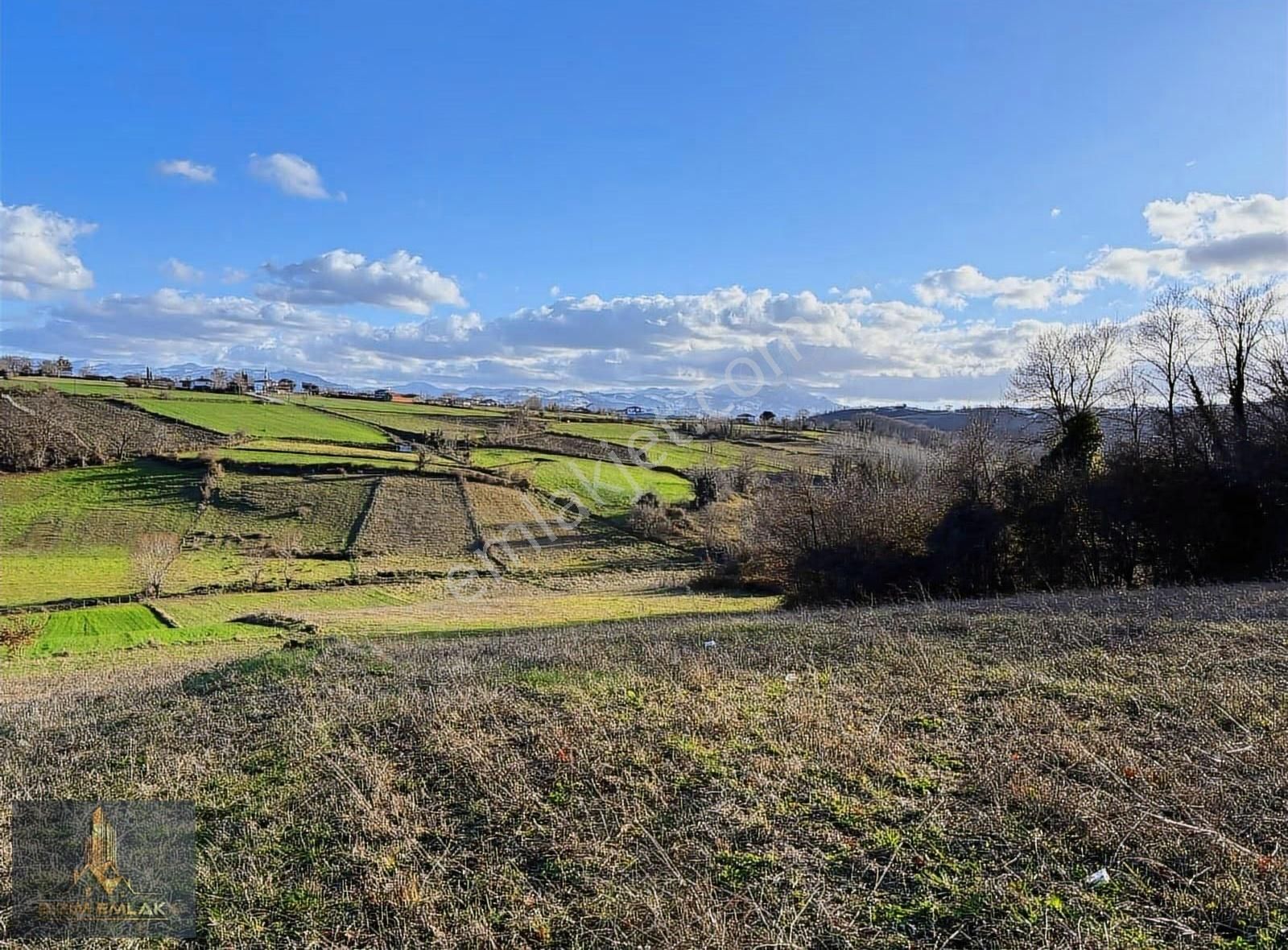 Temel Emlak'tan Evrenuşağında Satılık 23 Dönüm Arazi