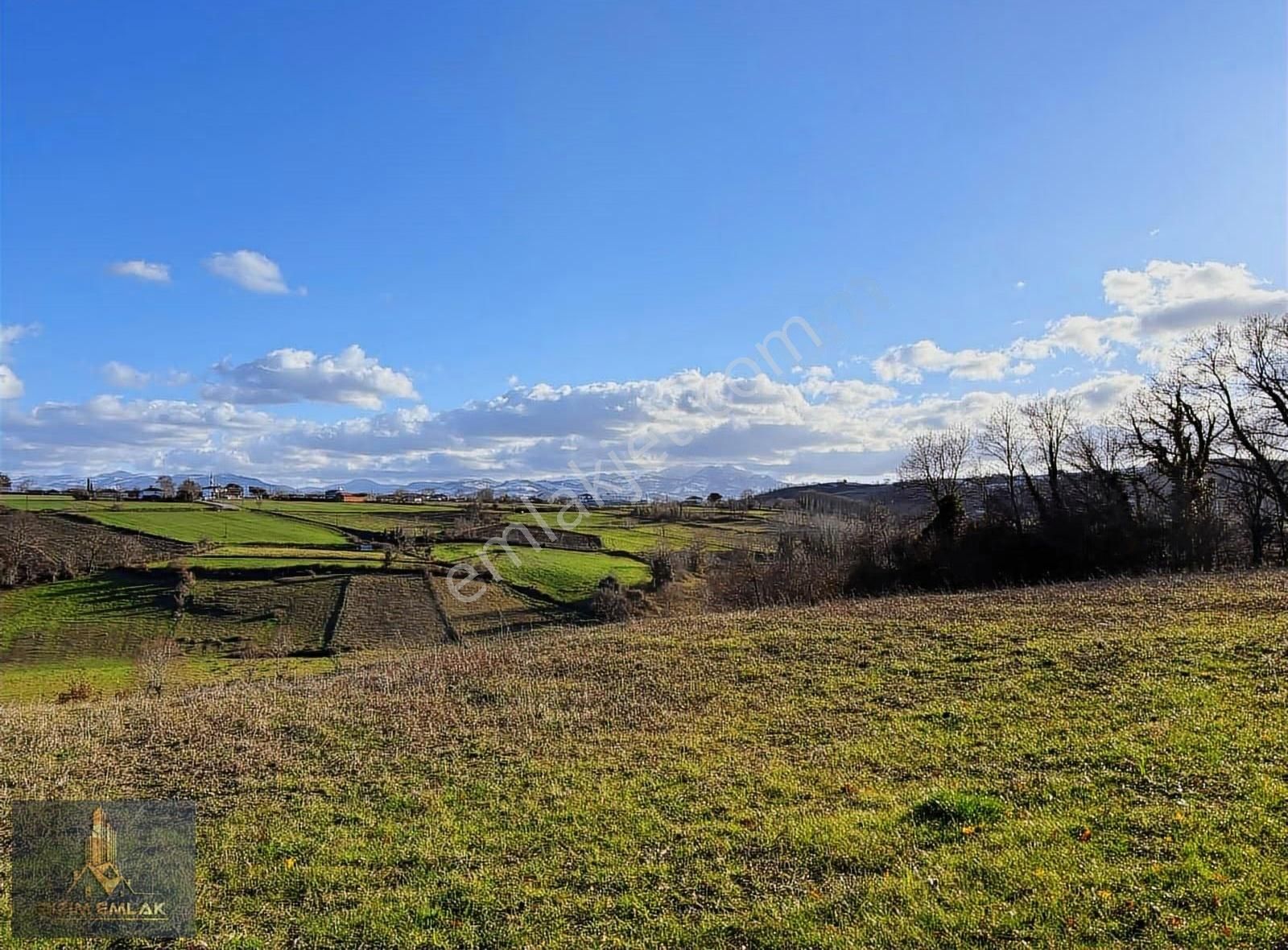 Temel Emlak'tan Evrenuşağında Satılık 23 Dönüm Arazi - Görsel 4