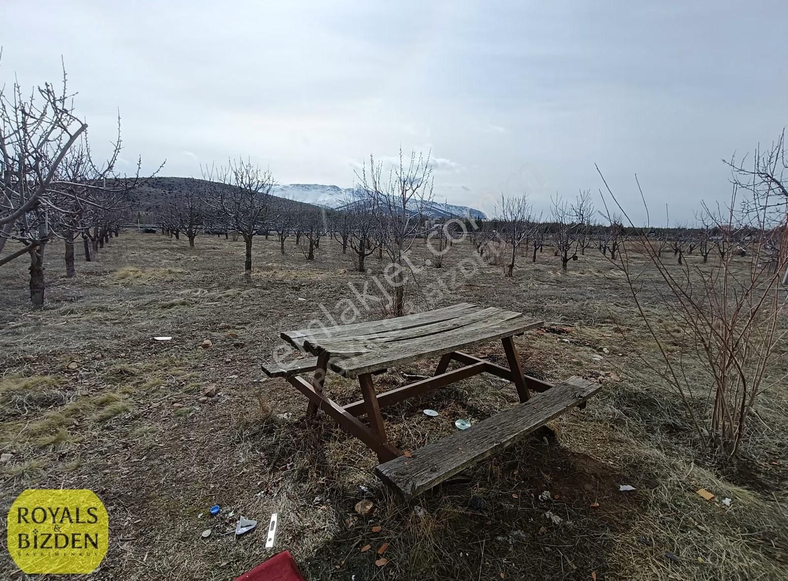 Selçuklu Kızılören De Cadde Cepheli 3.134 M2 Müstakil Tarla..... - Görsel 3