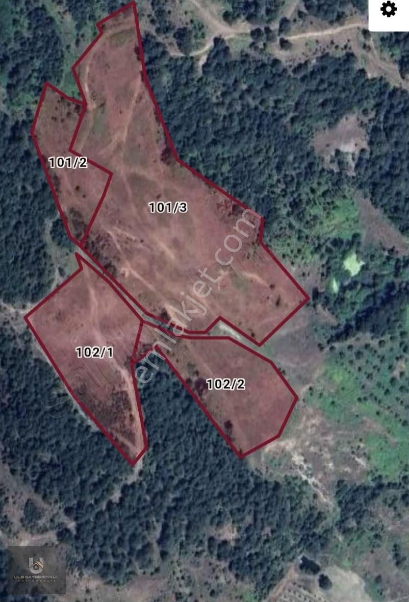 Geyve Melekşeoruç'ta Kadastral Yolu Olan Satılık 4334 M2 Arazi - Görsel 4