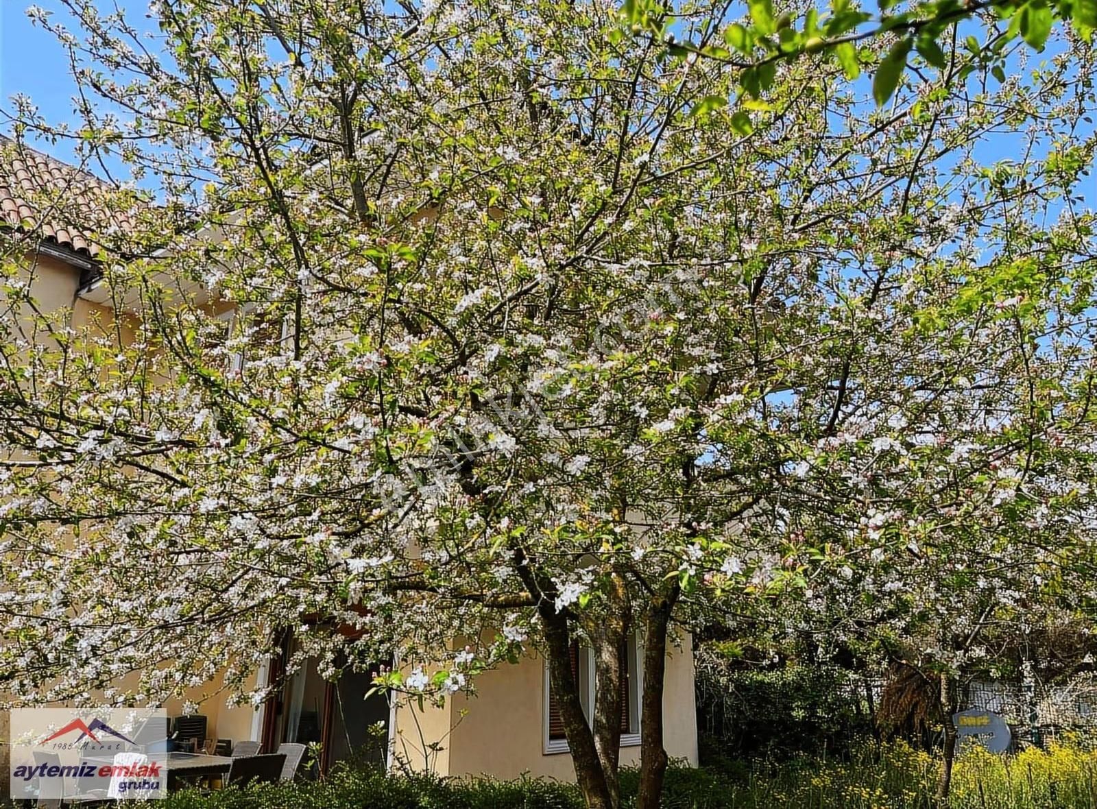 Ömerlide 600m² Mustakil Arsa İçi Satılık Kelepir Mustakil Villa - Görsel 16